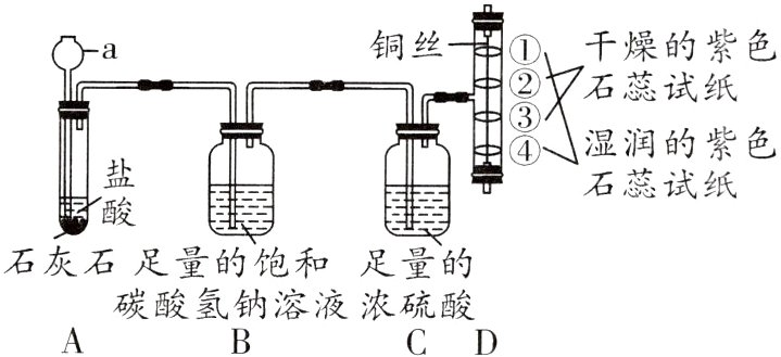 碳酸氢钠溶液浓硫酸CD