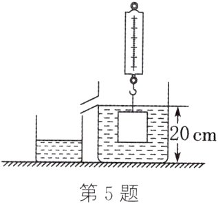第5题