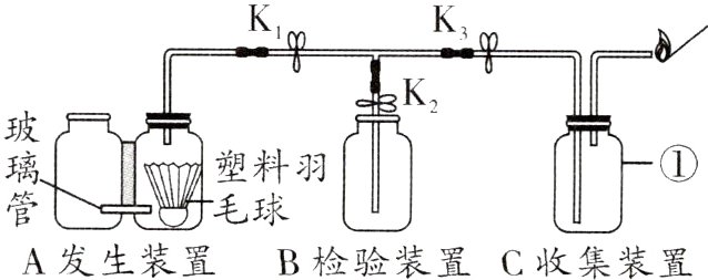 灯毛球A发生装置B检验装置C收集装置