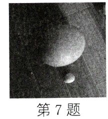 第7题