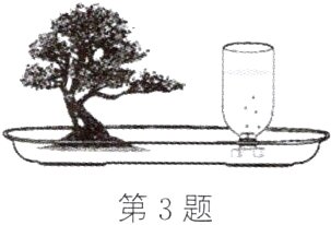 第3题