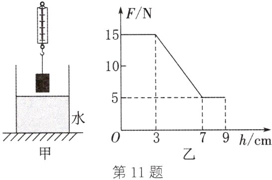 第11题