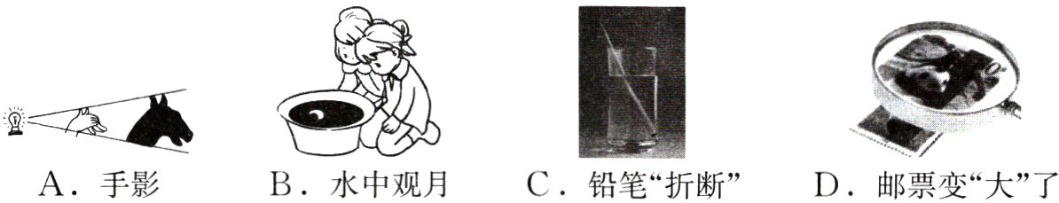 A手影B水中观月C铅笔折断D邮票变大了
