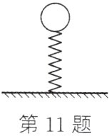第11题