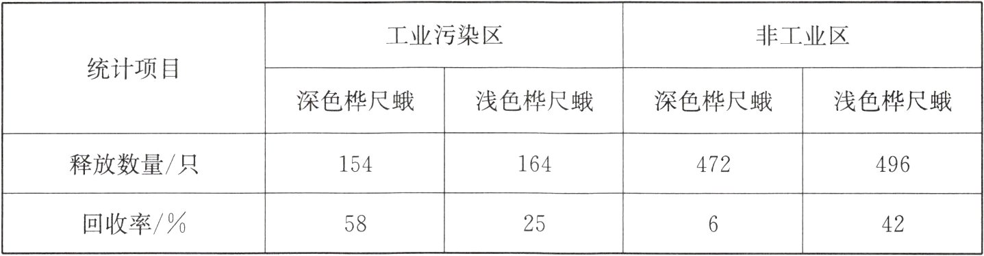 回收率582542
