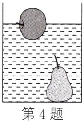 第4题