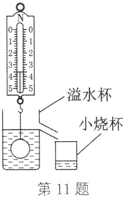 第11题
