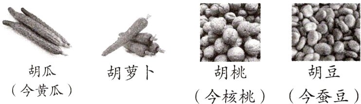 胡瓜胡桃胡豆胡萝卜今黄瓜今核桃今蚕豆