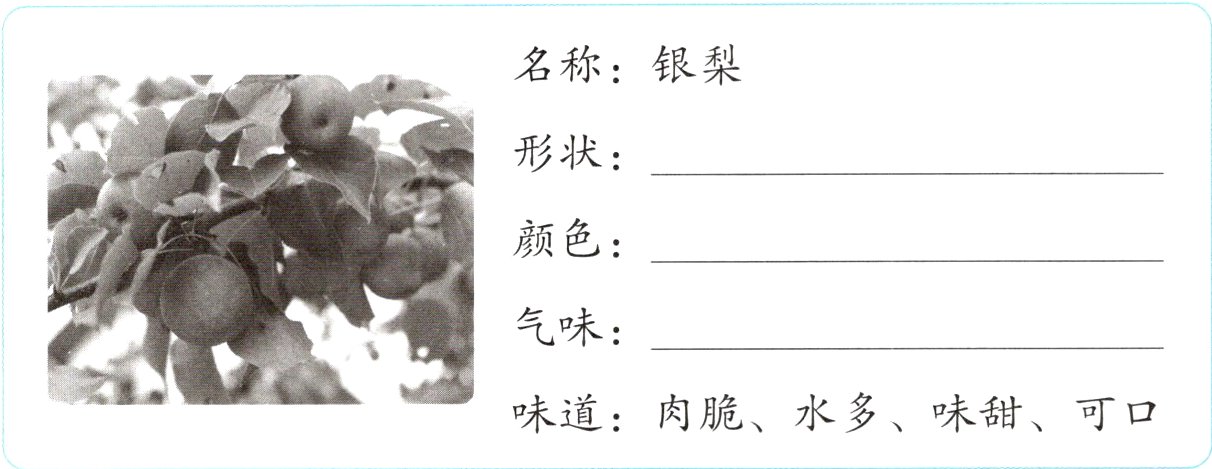 味道肉脆水多味甜可口