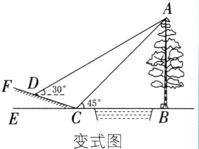变式图