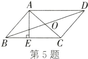 第5题