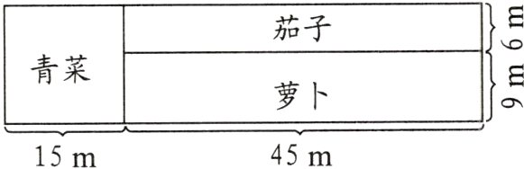 45m15m