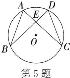 第5题