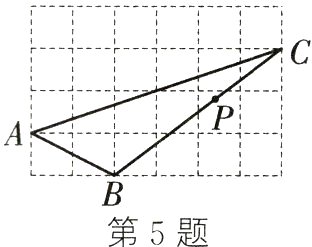 第5题