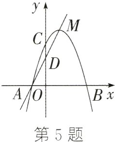 第5题
