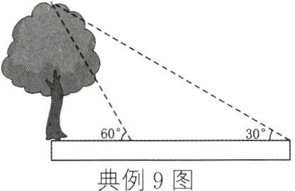 典例9图