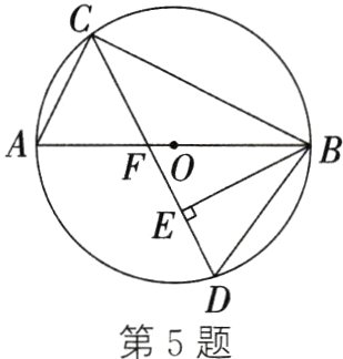 第5题
