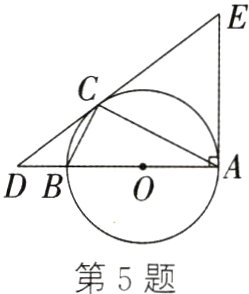 第5题