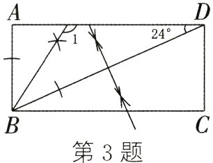 第3题
