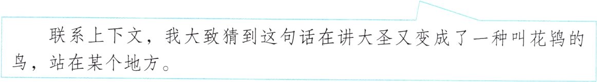 鸟站在某个地方