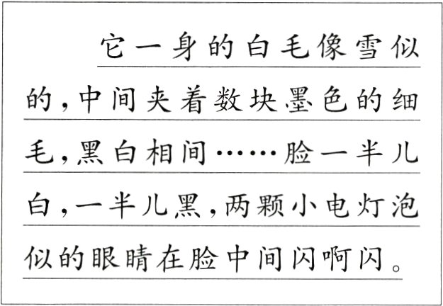 似的眼睛在脸中间闪啊闪