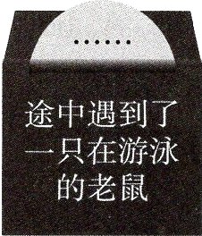 的老鼠