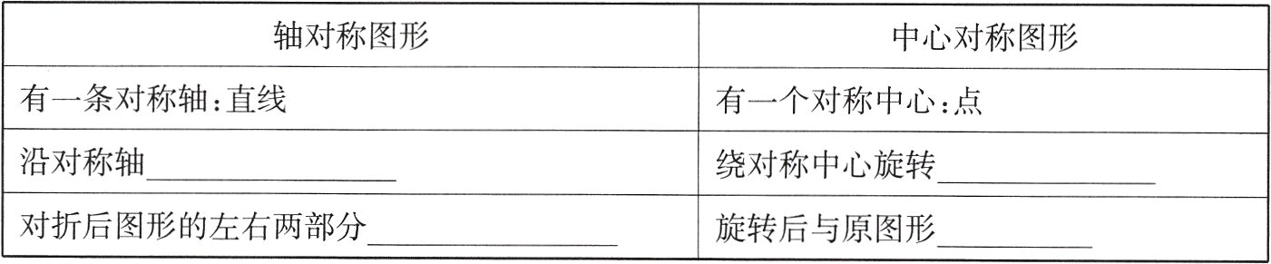 对折后图形的左右两部分旋转后与原图形