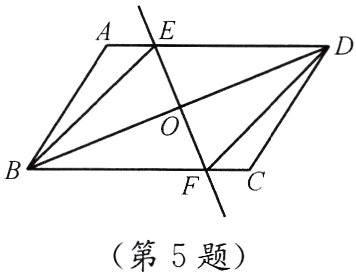 第5题