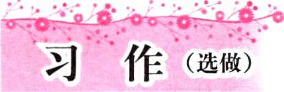 习作选做