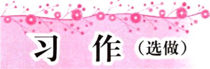 习作选做
