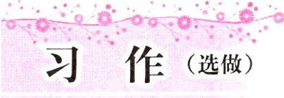 习作选做