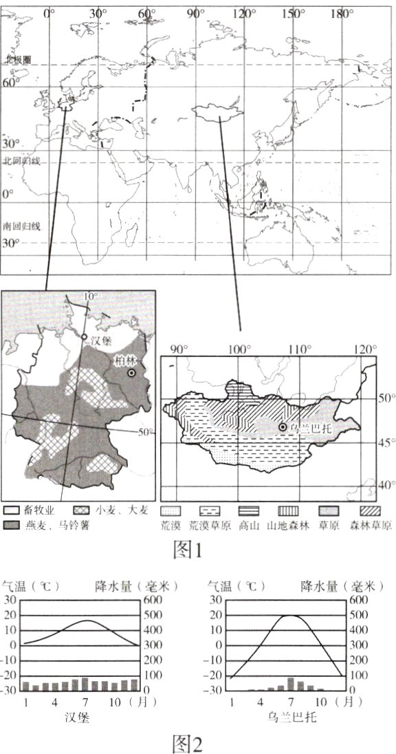 乌兰巴托汉堡图2