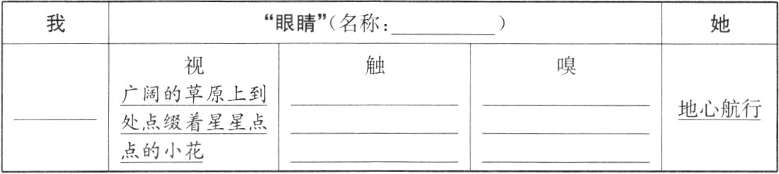 点的小花