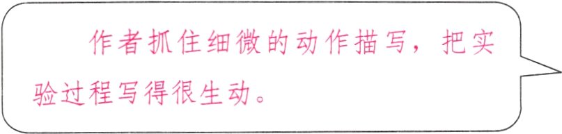 验过程写得很生动