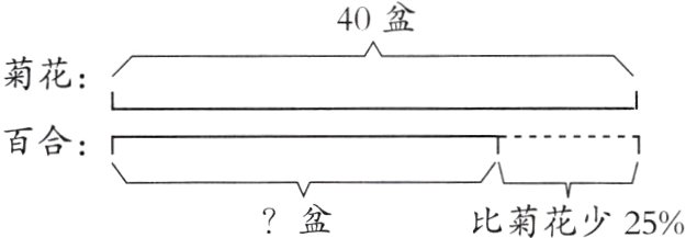 盆比菊花少25