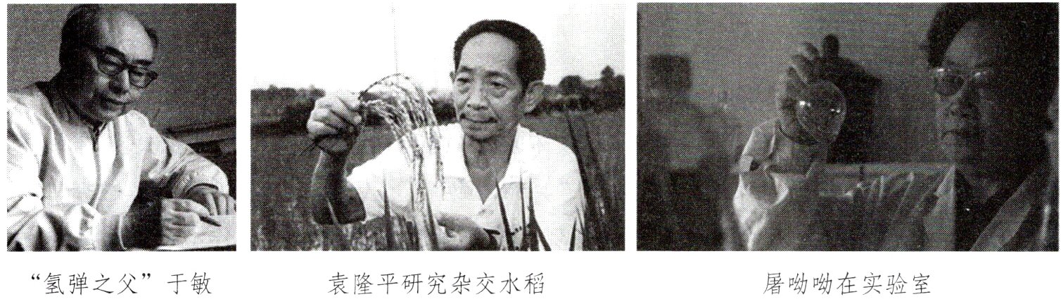 袁隆平研究杂交水稻屠呦呦在实验室氢弹之父于敏