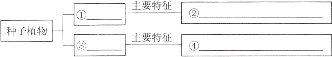 主要特征