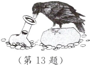 第13题