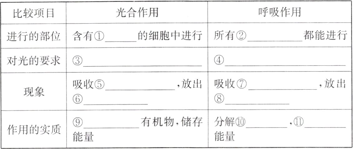 作用的实质能量能量