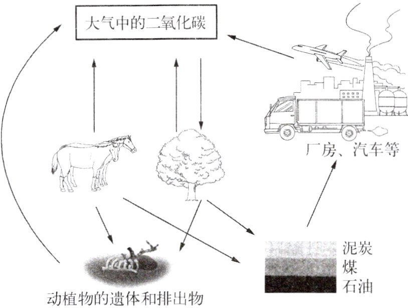 石油动植物的遗体和排出物