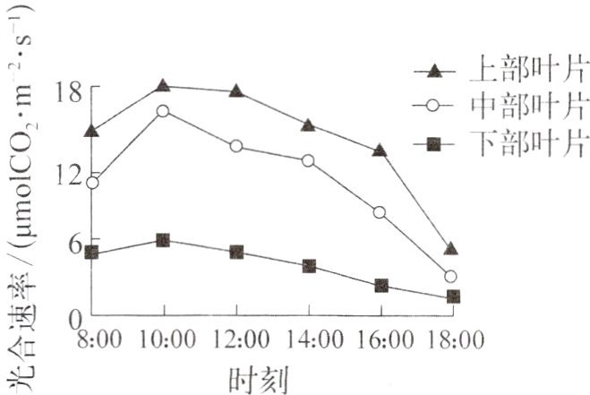 时刻