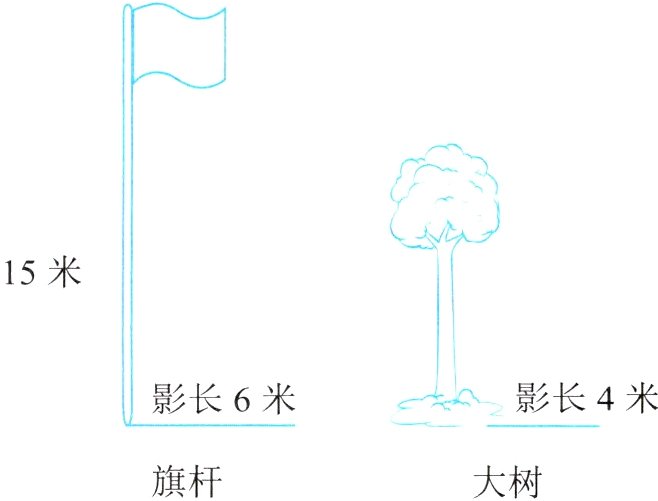 旗杆大树