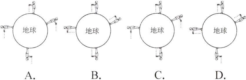 DCBA