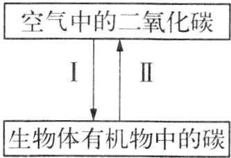 生物体有机物中的碳