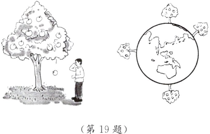 第19题