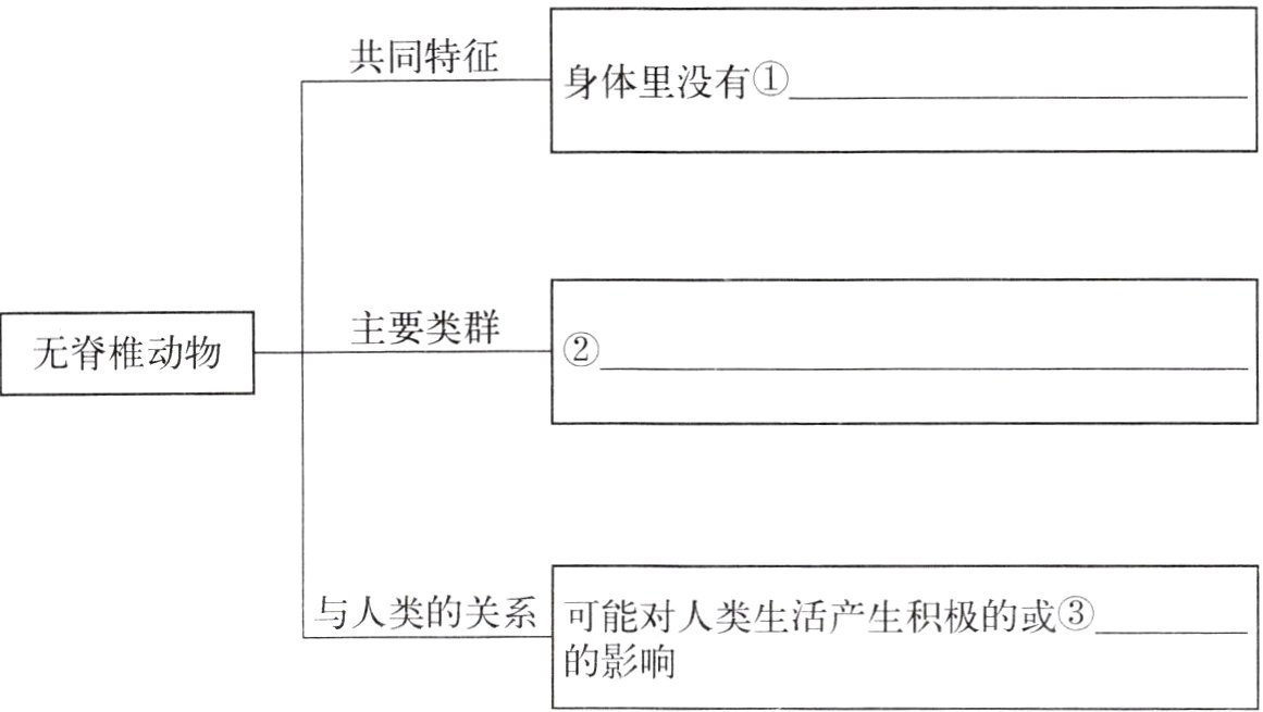 的影响