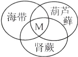 肾蕨