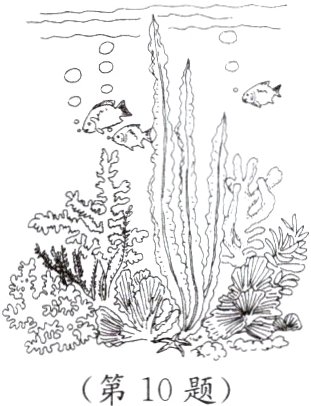第10题