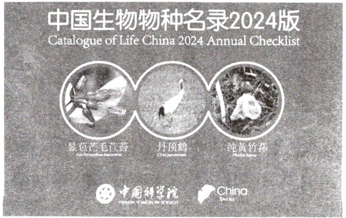 中国科学院China