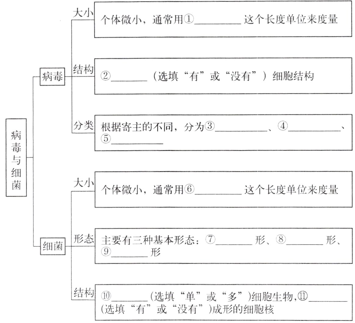 选填有或没有成形的细胞核